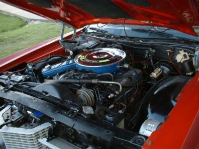 post-11584-0-08016600-1424698975_thumb.j