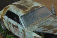 post-11607-0-31019000-1362529521_thumb.j