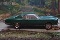 post-11607-0-34557800-1362332709_thumb.j