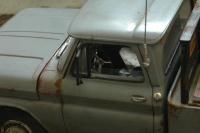 post-11607-0-80801800-1362313408_thumb.j