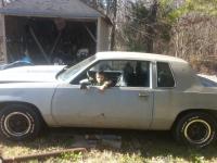 post-11708-0-14516900-1363745955_thumb.j