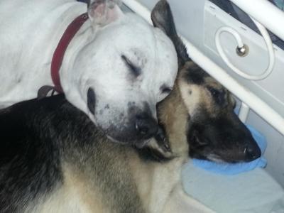 post-11738-0-18725400-1400716344_thumb.j