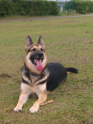 post-11738-0-18779100-1400684508_thumb.j