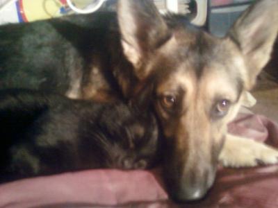 post-11738-0-45846200-1400716213_thumb.j