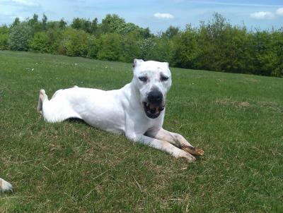 post-11738-0-67558800-1400688340_thumb.j