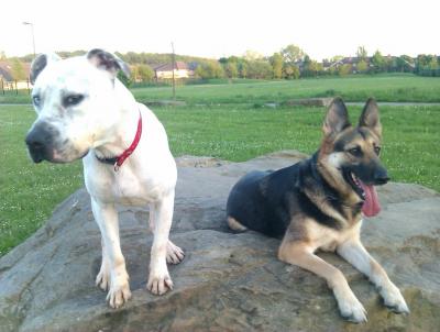 post-11738-0-68474900-1400688331_thumb.j