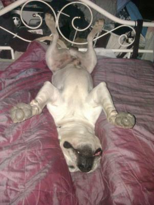 post-11738-0-73782100-1400716451_thumb.j