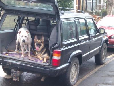 post-11738-0-90408300-1400684501_thumb.j