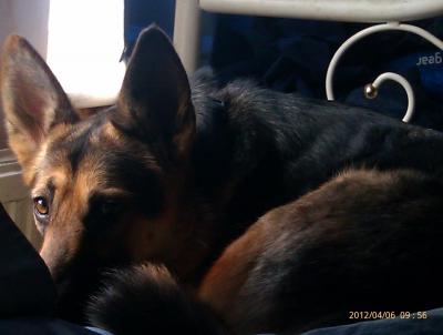 post-11738-0-95703500-1400716211_thumb.j