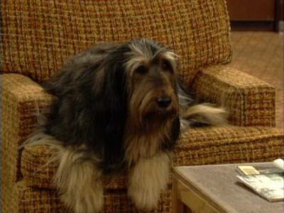 post-11766-0-72783700-1413597543_thumb.j