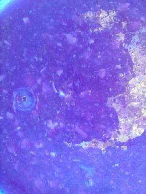 post-11851-0-11716600-1413734538_thumb.j