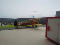 post-11920-0-73507900-1388164672_thumb.j