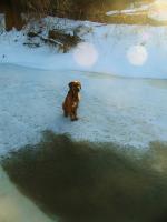 post-11948-0-02341100-1390162851_thumb.j