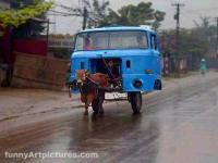 post-11948-0-15148100-1385141892_thumb.j