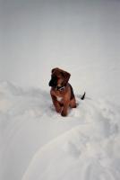 post-11948-0-26277900-1390162303_thumb.j