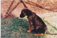 post-11948-0-44685000-1390162219_thumb.j