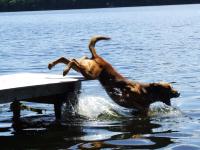 post-11948-0-54455800-1390162432_thumb.j