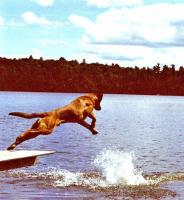 post-11948-0-67066800-1390162482_thumb.j