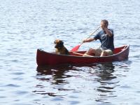 post-11948-0-70241100-1390162644_thumb.j