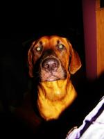 post-11948-0-73279600-1390162373_thumb.j