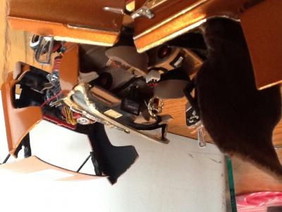 post-12064-0-58613700-1433288355_thumb.j