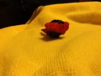 post-12565-0-11698600-1382751111_thumb.j