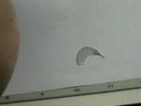 post-12703-0-77805100-1383695886_thumb.j