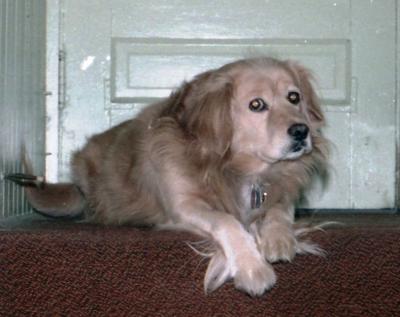 post-13341-0-52250700-1402597517_thumb.j