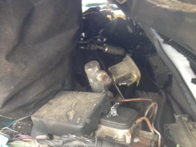 post-13561-0-06513900-1398642494_thumb.j