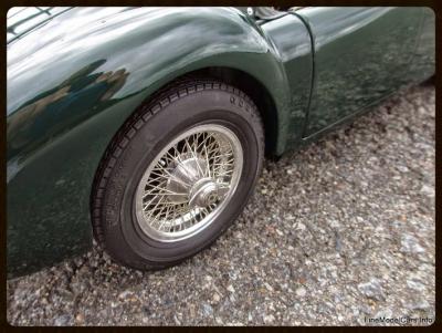 post-13603-0-58325300-1408298480_thumb.j