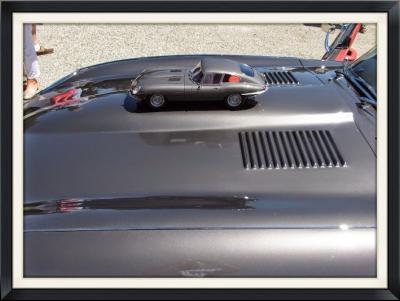 post-13603-0-92122900-1405803486_thumb.j