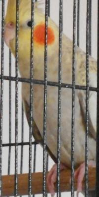 post-13845-0-16984200-1413197806_thumb.j