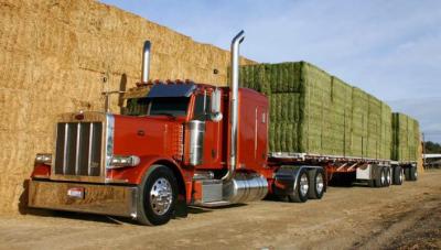 post-13858-0-00260200-1401696133_thumb.j