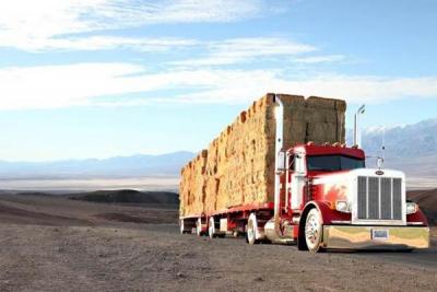 post-13858-0-53220300-1401678828_thumb.j