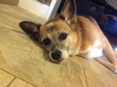 post-13862-0-51378600-1400244278_thumb.j