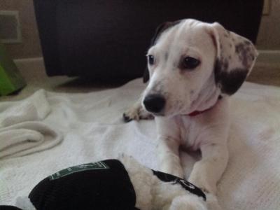 post-13862-0-87012500-1405118975_thumb.j