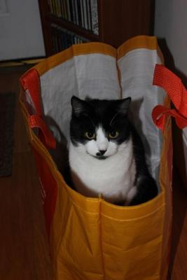 post-14575-0-06728100-1416598656_thumb.j