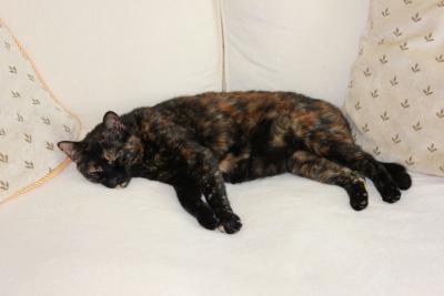 post-14575-0-78270900-1416598644_thumb.j