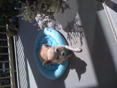 post-14706-0-08737800-1416575292_thumb.j