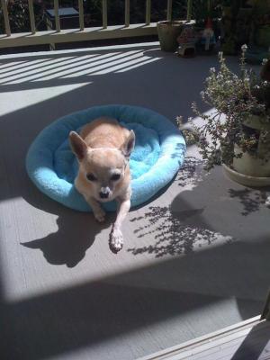 post-14706-0-30403200-1421856796_thumb.j