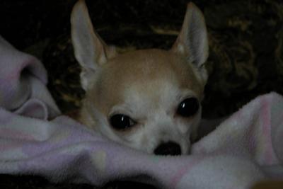 post-14706-0-33687200-1416575304_thumb.j