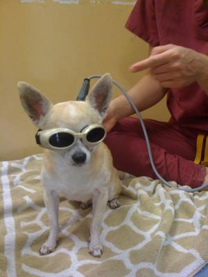 post-14706-0-68609000-1421856774_thumb.j