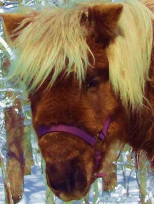 post-15077-0-21728800-1428610058_thumb.j