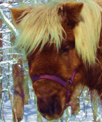 post-15077-0-91966100-1428597489_thumb.j