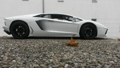 post-15243-0-40867000-1424289296_thumb.j