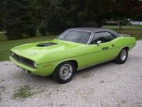 post-2435-0-58948300-1384874905_thumb.jp