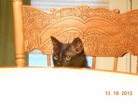 post-3752-0-70129400-1358966771_thumb.jp