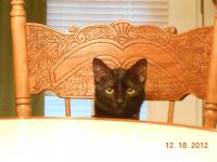 post-3752-0-77844200-1358966703_thumb.jp