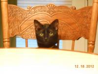 post-3752-0-85055000-1358966643_thumb.jp