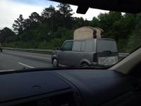 post-3909-0-45833600-1369421326_thumb.jp